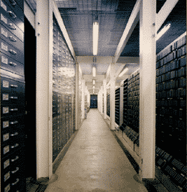 perpetual-storage-vault